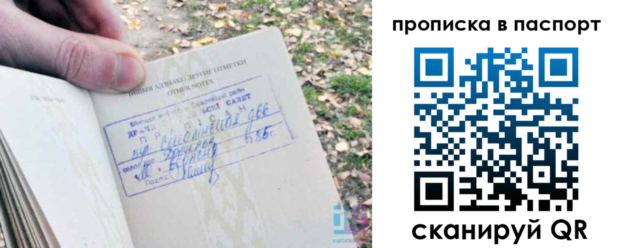 купить прописку в Нерехте